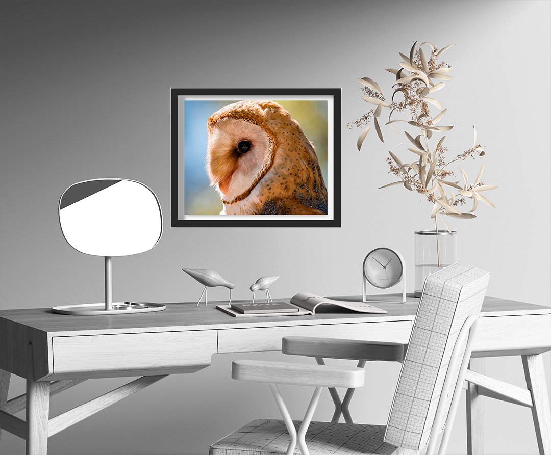 Barn Owl Photo Print — Francesca Scalpi