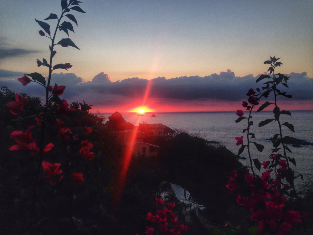 Zoa Sunrise, Mazunte