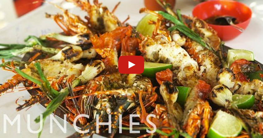 VICE Mexico goes to Oaxaca