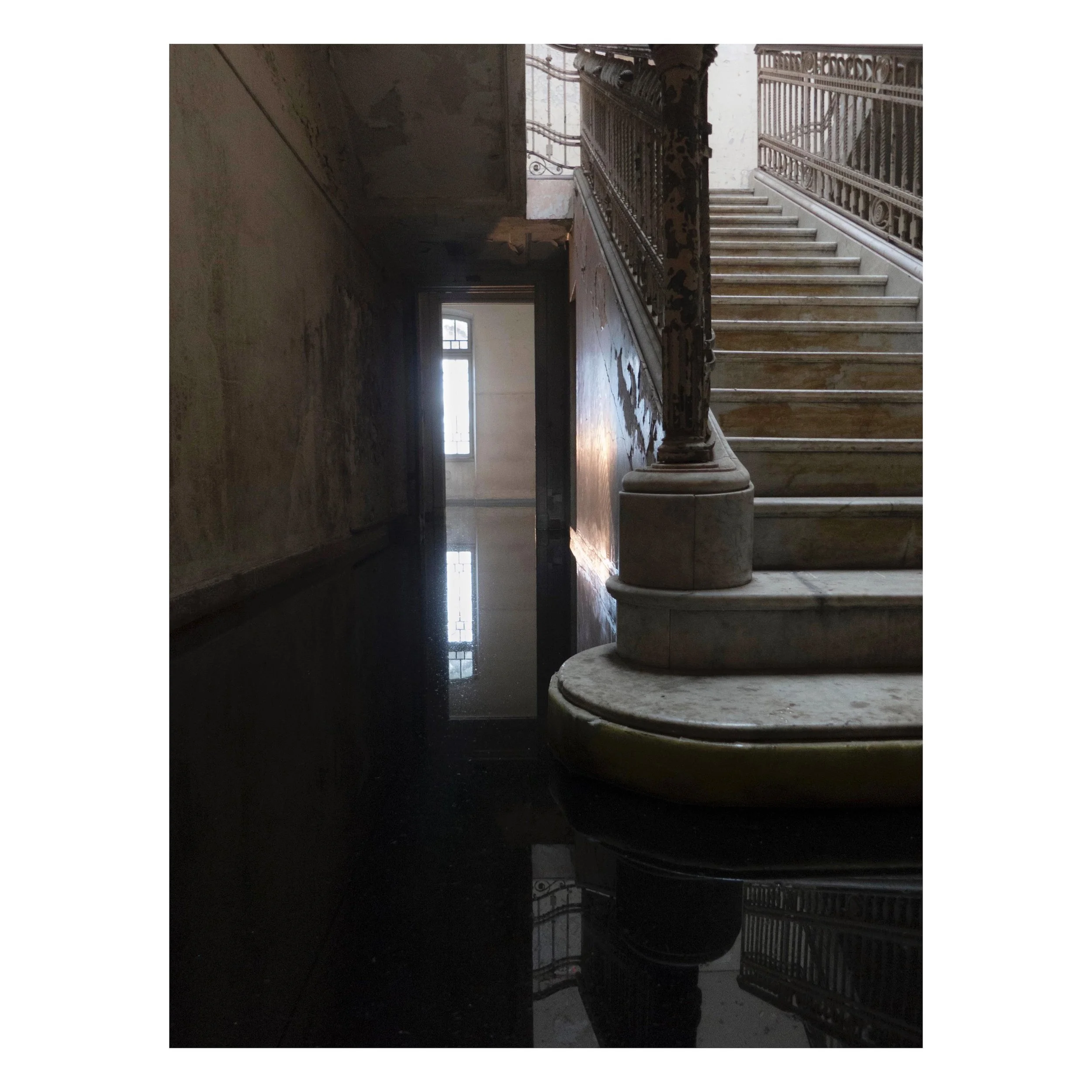 Fra @foraarsudstillingen.dk p&aring; Charlottenborg / From Spring Exhibition at Charlottenborg.
.
.
.
.
.
#foraarsudstillingen #photo #photography #foto #fotografia #fotografi #brazil #brasil #saopaulo #sampa #everydaybrasil #streetphoto_brasil