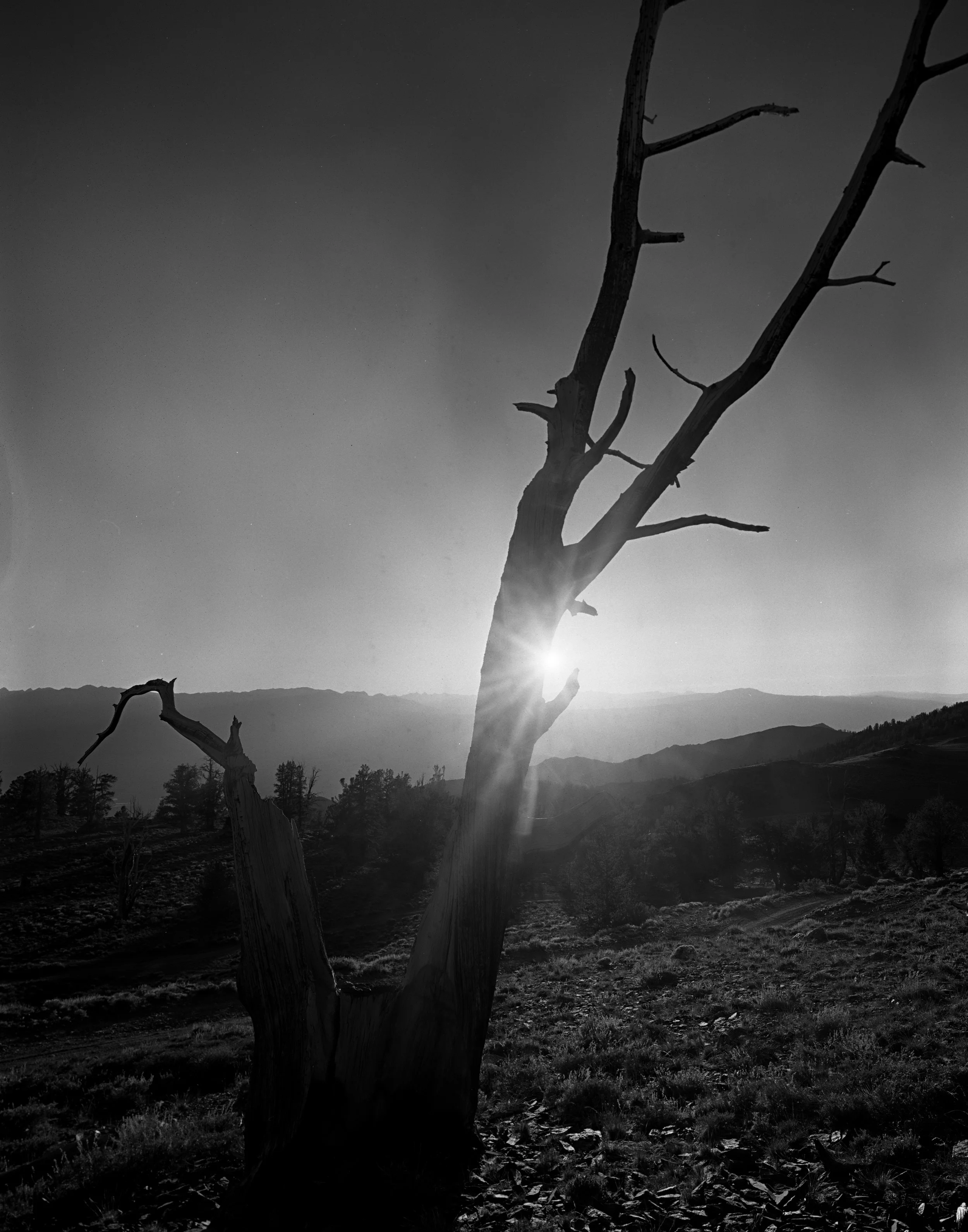 Adox CHS 100II 6-14 2 Pyro copy.jpg