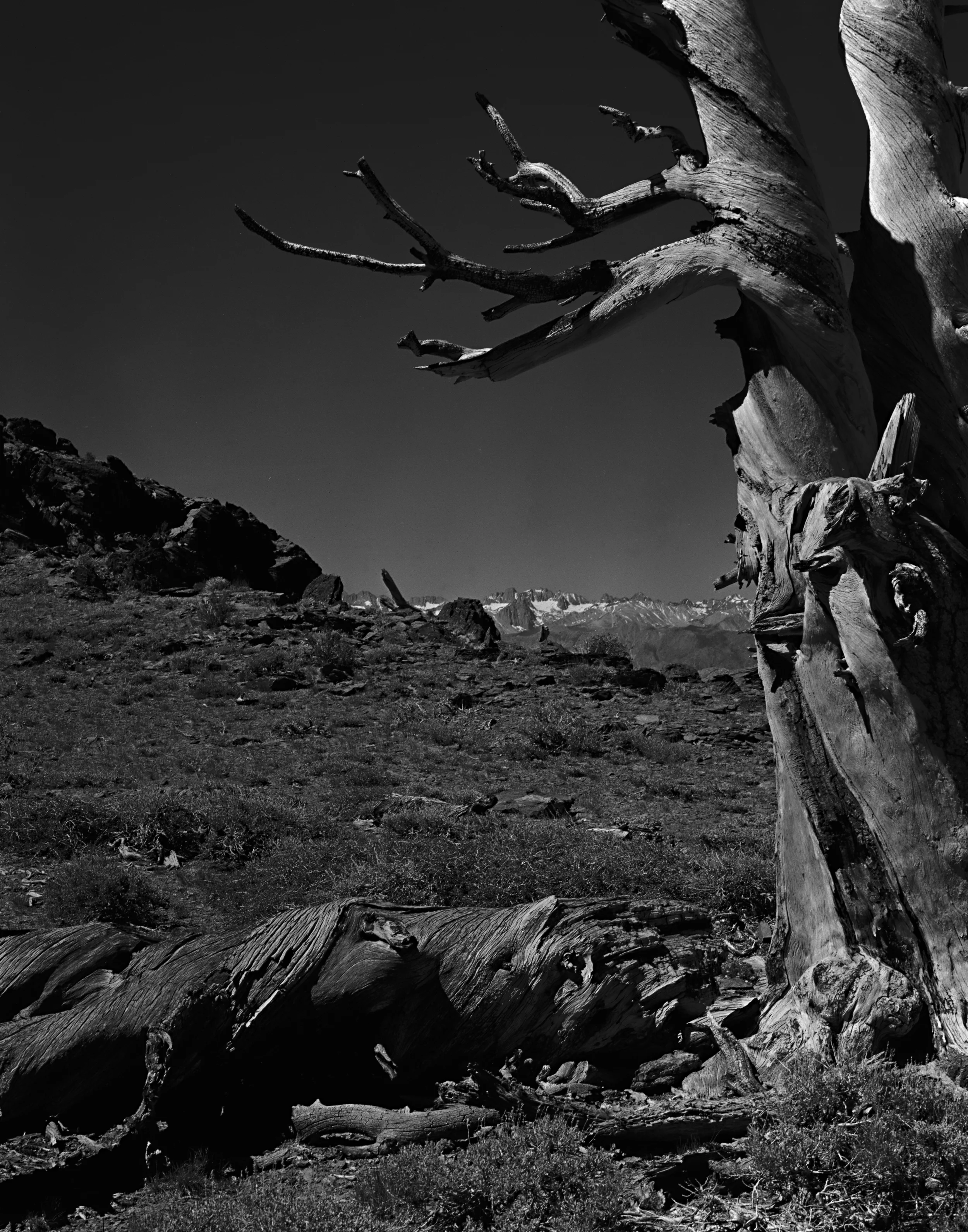 Adox CHS 100II 6-14 4 Pyro.jpg