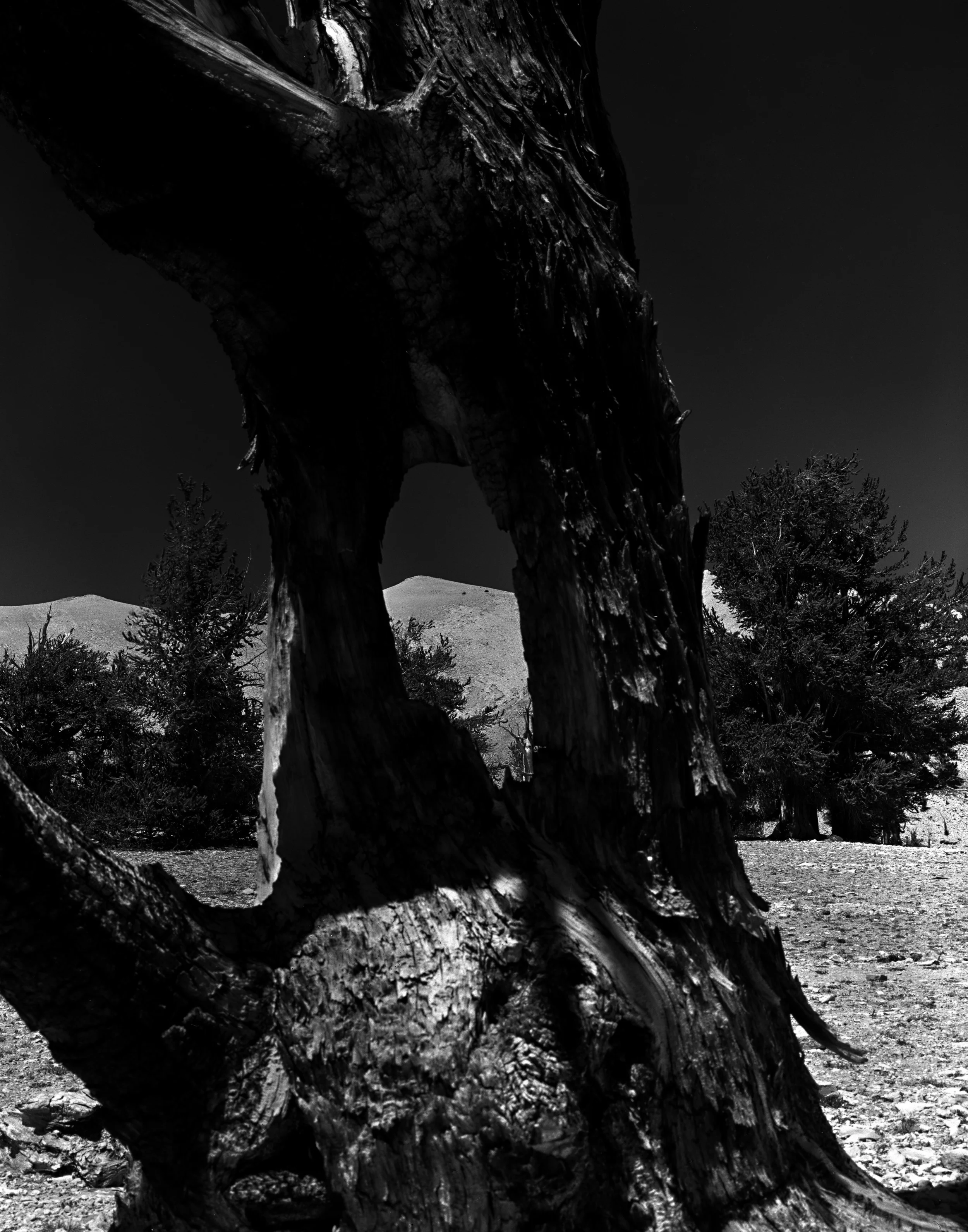 June14014 copy.jpg