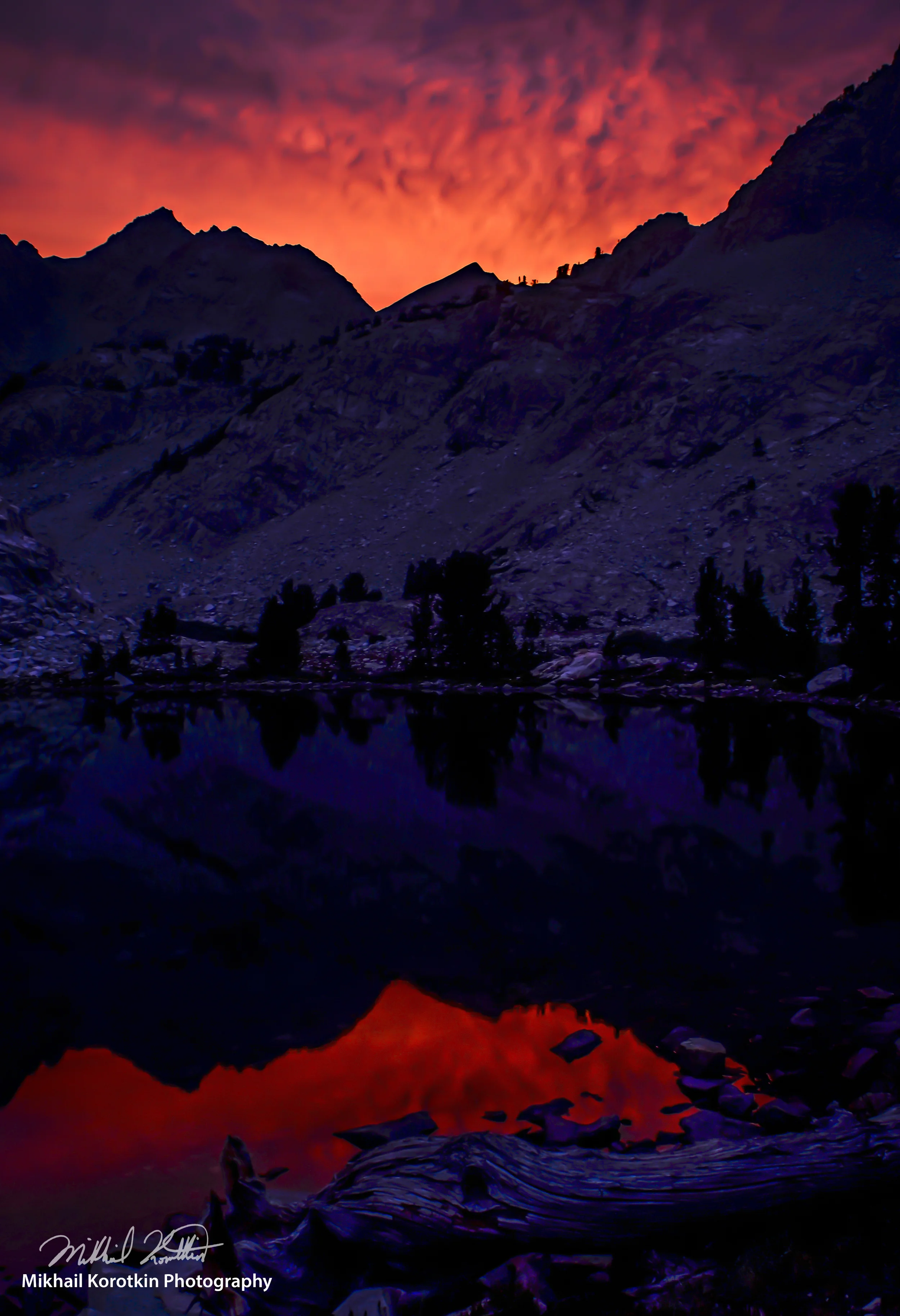 Sailor's Delight