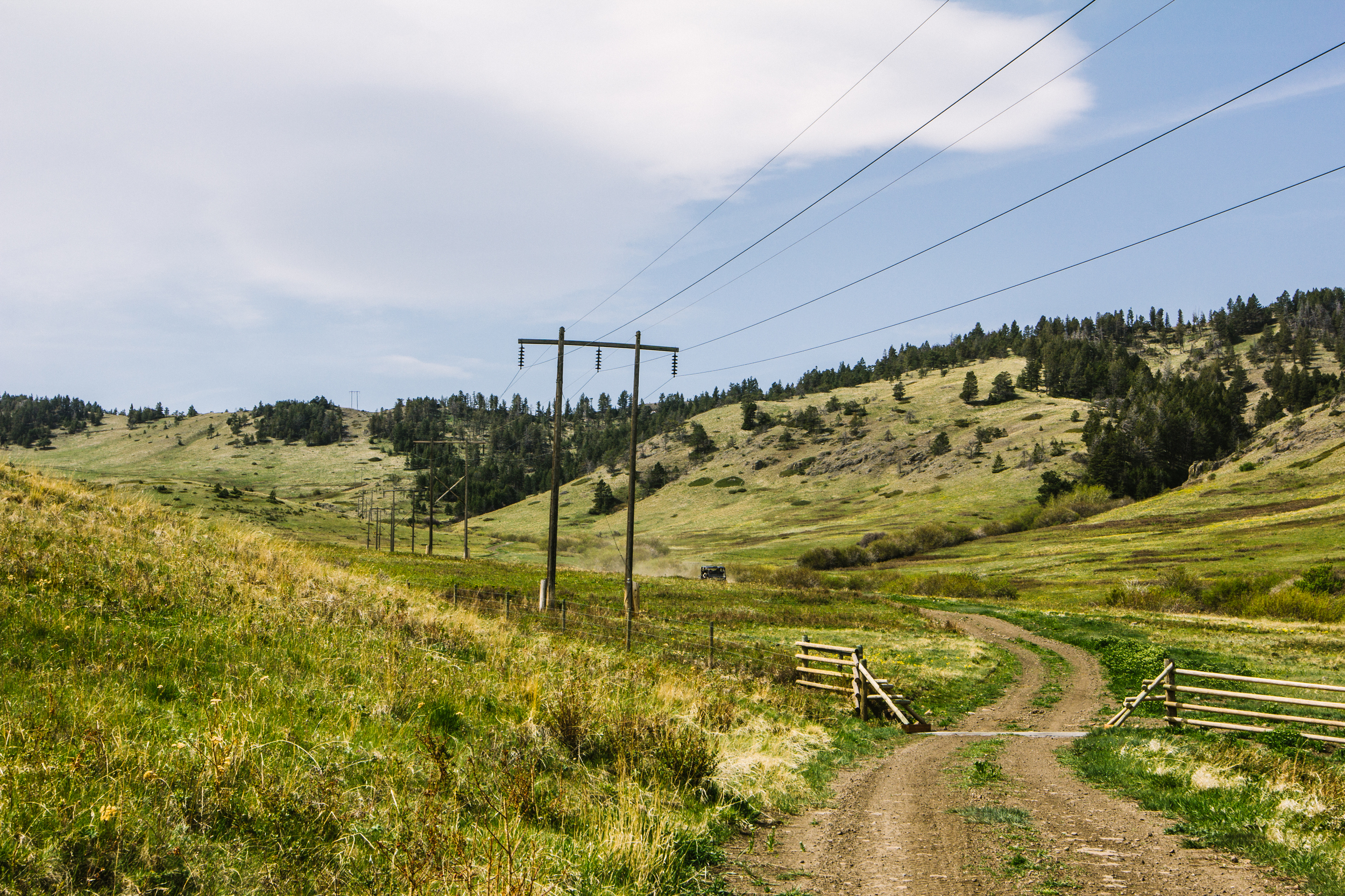 Home Trail.jpg