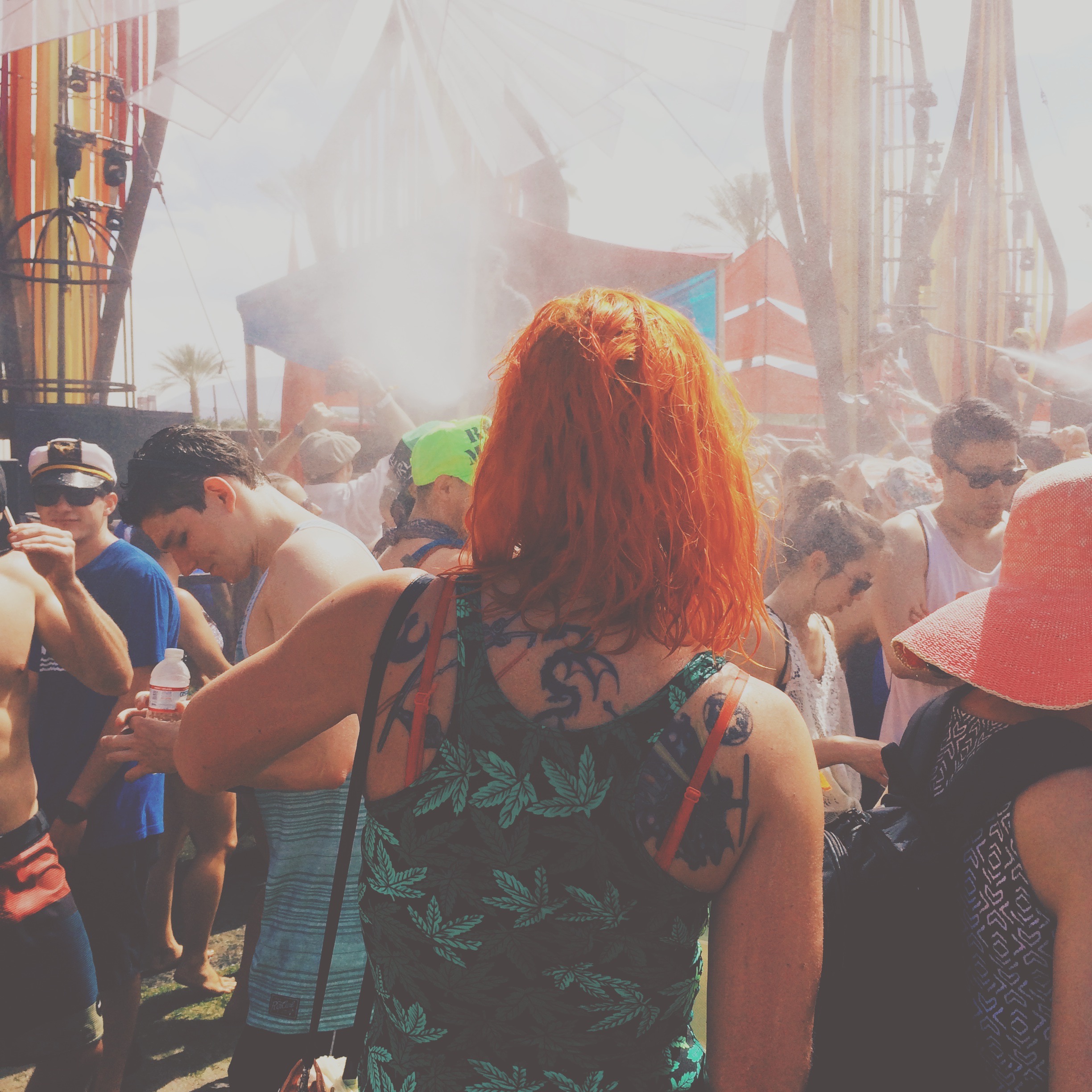 Festival Life.jpg
