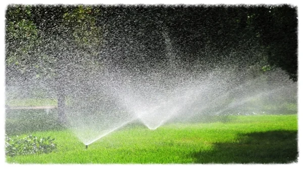 SEastlandscaping_web_photos_68.jpg