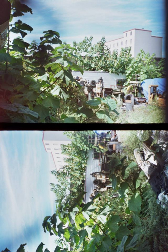 Brooklyn, Summer 2014