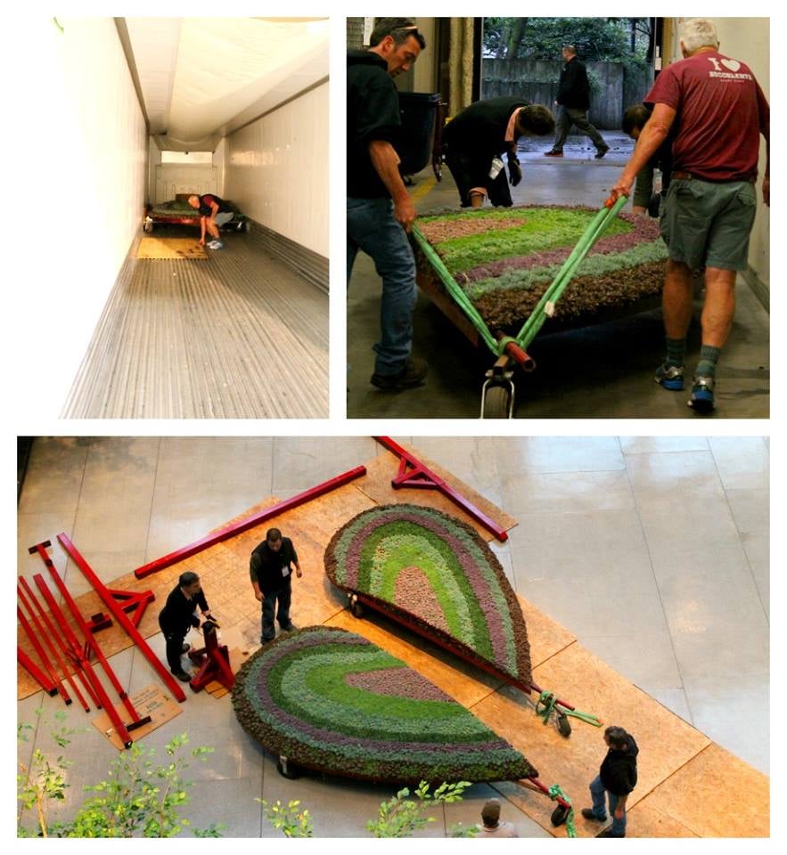 After allowing the 15,000 succulents to grow the heart and it's stand are up in Seattle at the Northwest Flower and Garden show. Now we just need to assemble all the pieces.