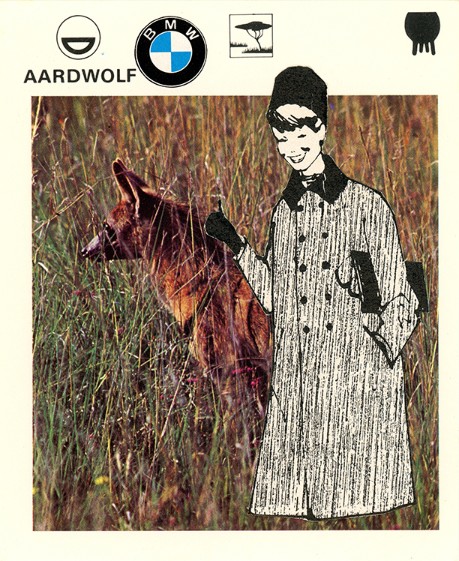 229 | AARDWOLF