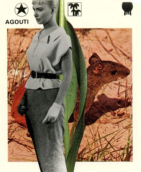 234 | AGOUTI