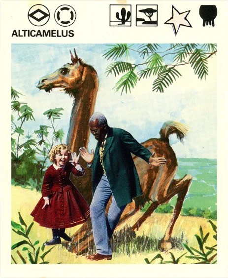 237 | ALTICAMELUS