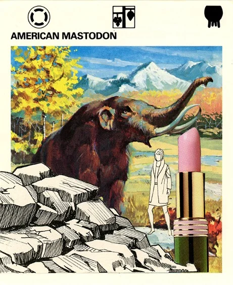 240 | AMERICAN MASTODON