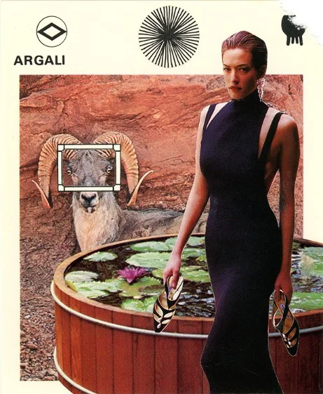 245 | ARGALI