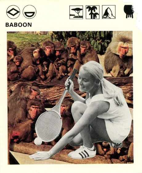 251 | BABOON