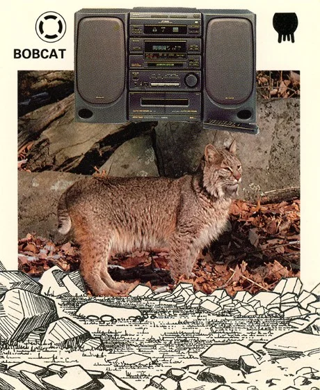 266 | BOBCAT