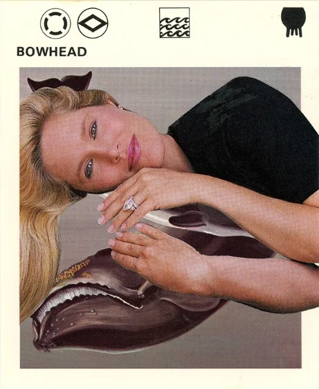 268 | BOWHEAD