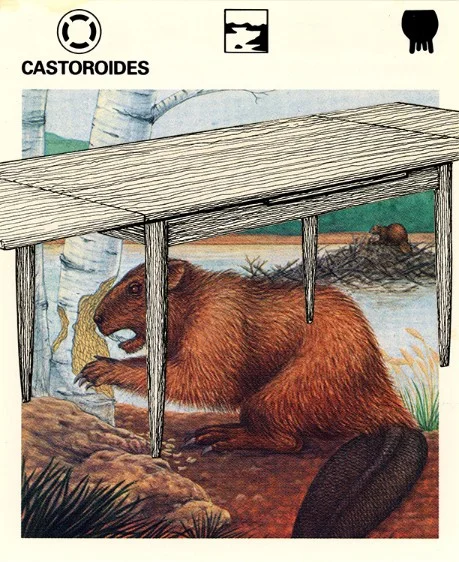 273 | CASTOROIDES