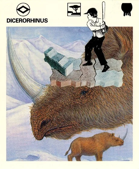 278 | DICERORHINUS | SOLD!