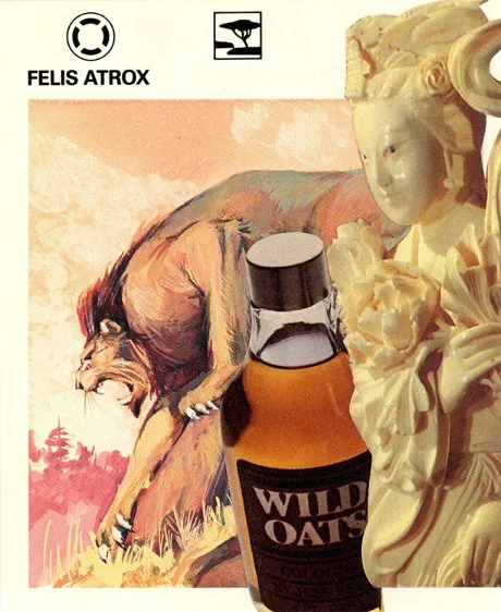 282 | FELIS ATROX