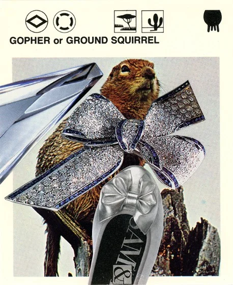 288 | GOPHER OR GROUND SQUIRREL