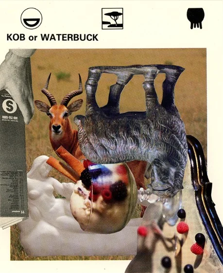298 | KOB OR WATERBUCK