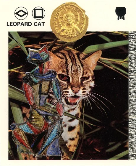 299 | LEOPARD CAT