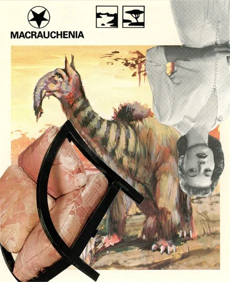 300 | MACRAUCHENIA