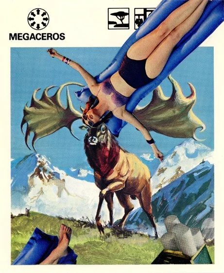 301 | MEGACEROS