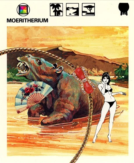 305 | MOERITHERIUM