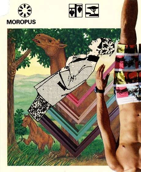 307 | MOROPUS
