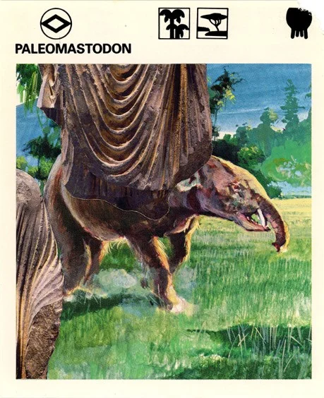 311 | PALEOMASTODON