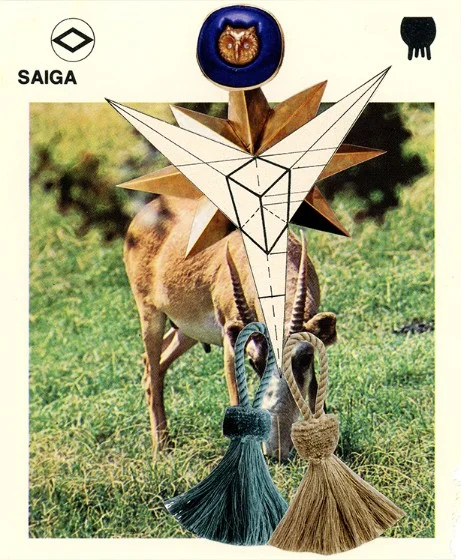 320 | SAIGA