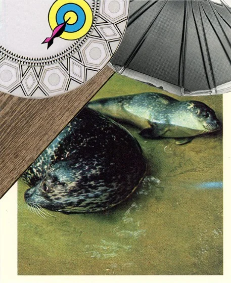 321 | SEAL