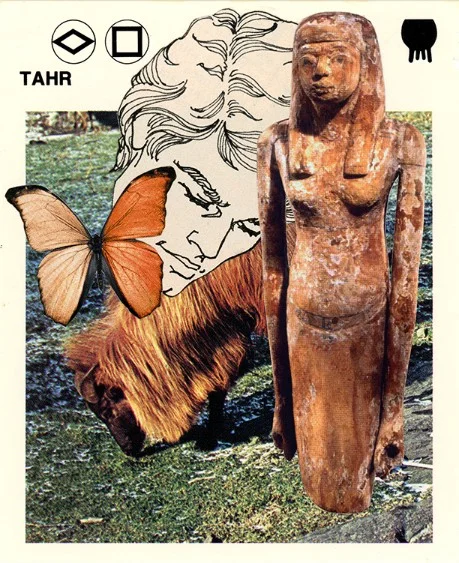 332 | TAHR