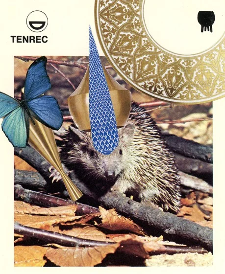337 | TENREC