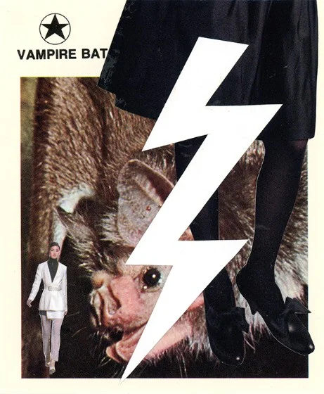 344 | VAMPIRE BAT