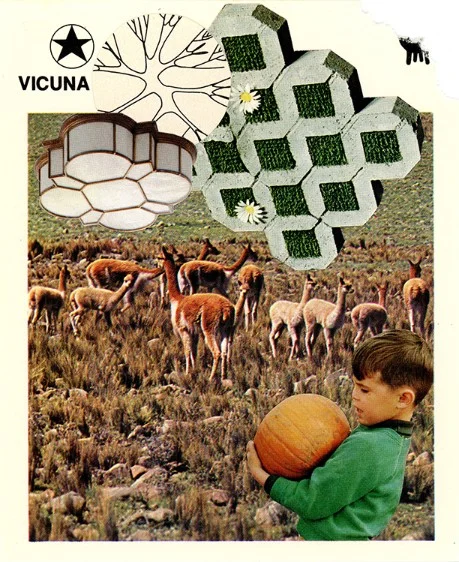 345 | VICUNA
