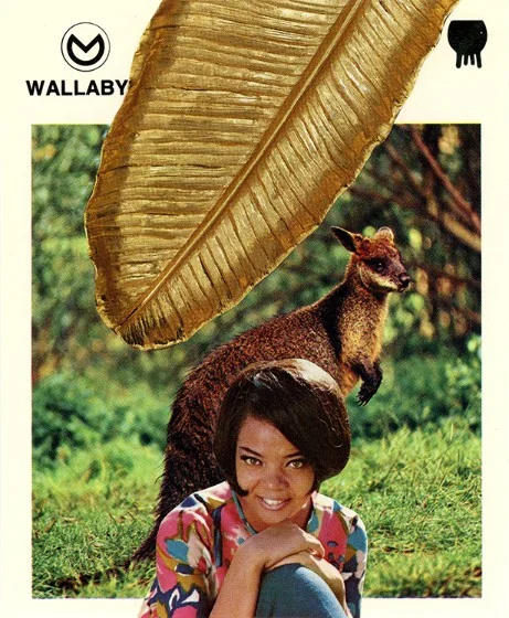 346 | WALLABY