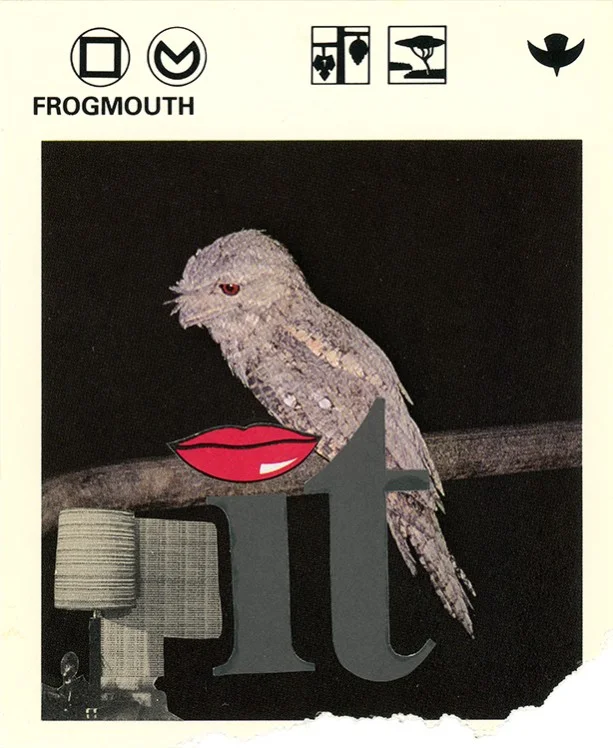 179 Frogmouth WEB.jpg