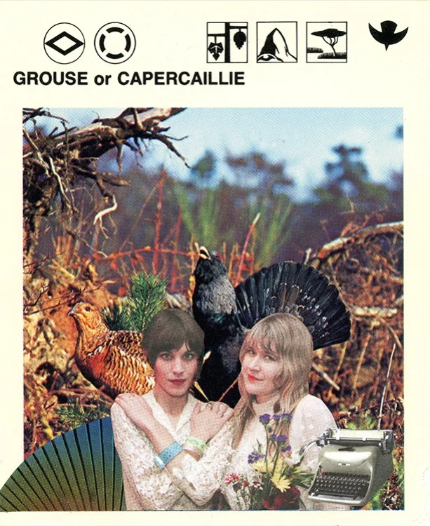 184 Grouse or Capercaillie WEB.jpg