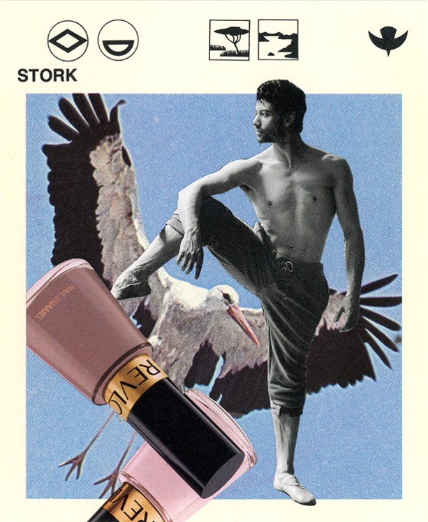 212 Stork WEB.jpg