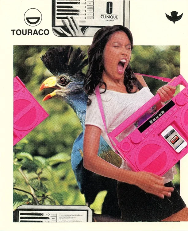 218 Touraco WEB.jpg