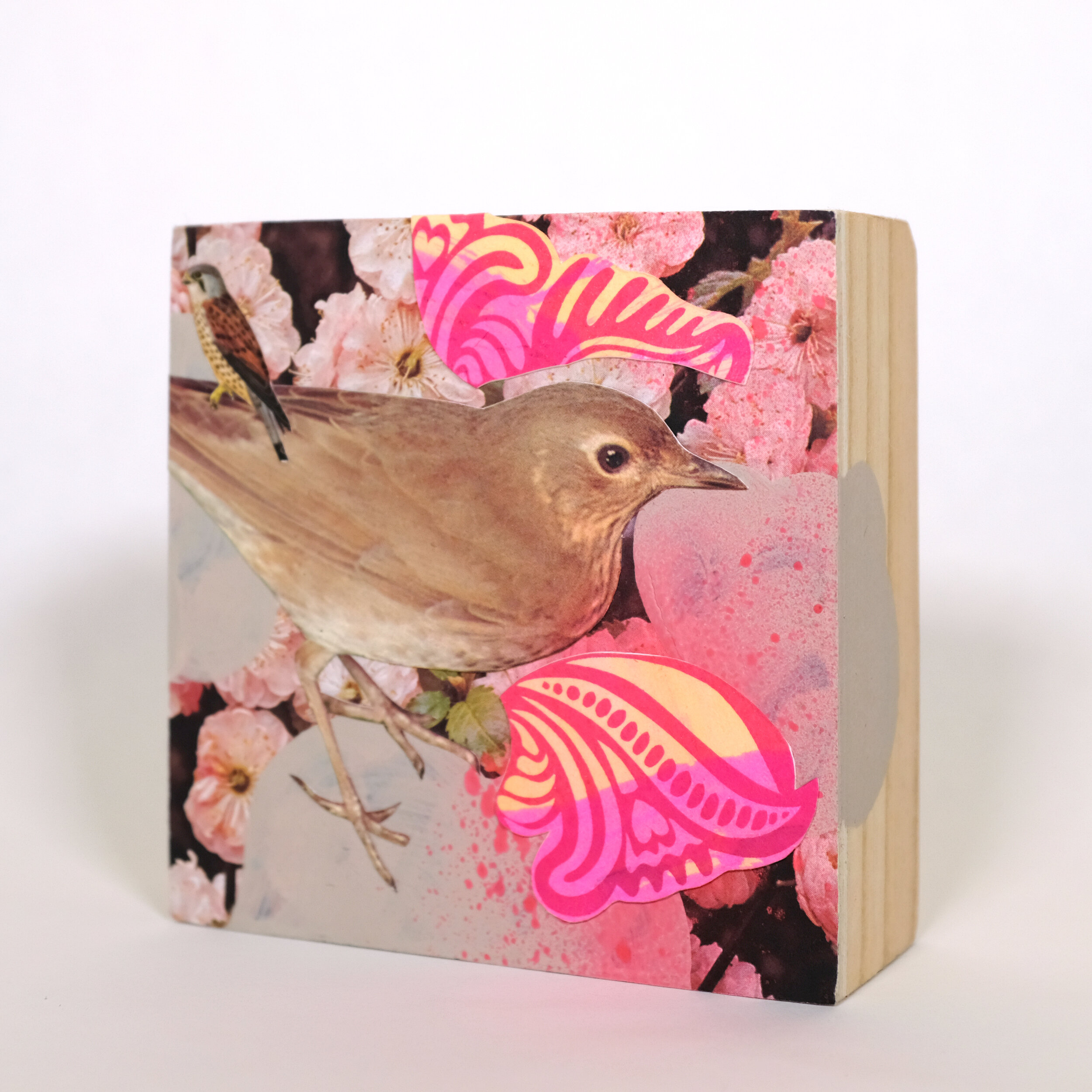 veery hawkish