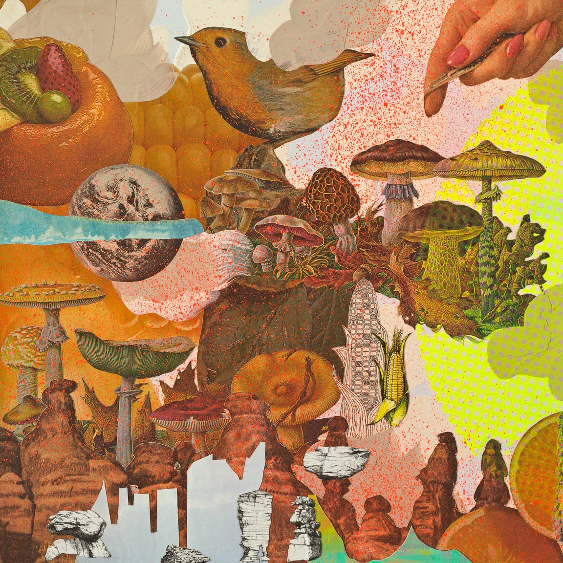 01_Lewey-Popinchalk_Foraging Rock Formations for Mushrooms.jpg