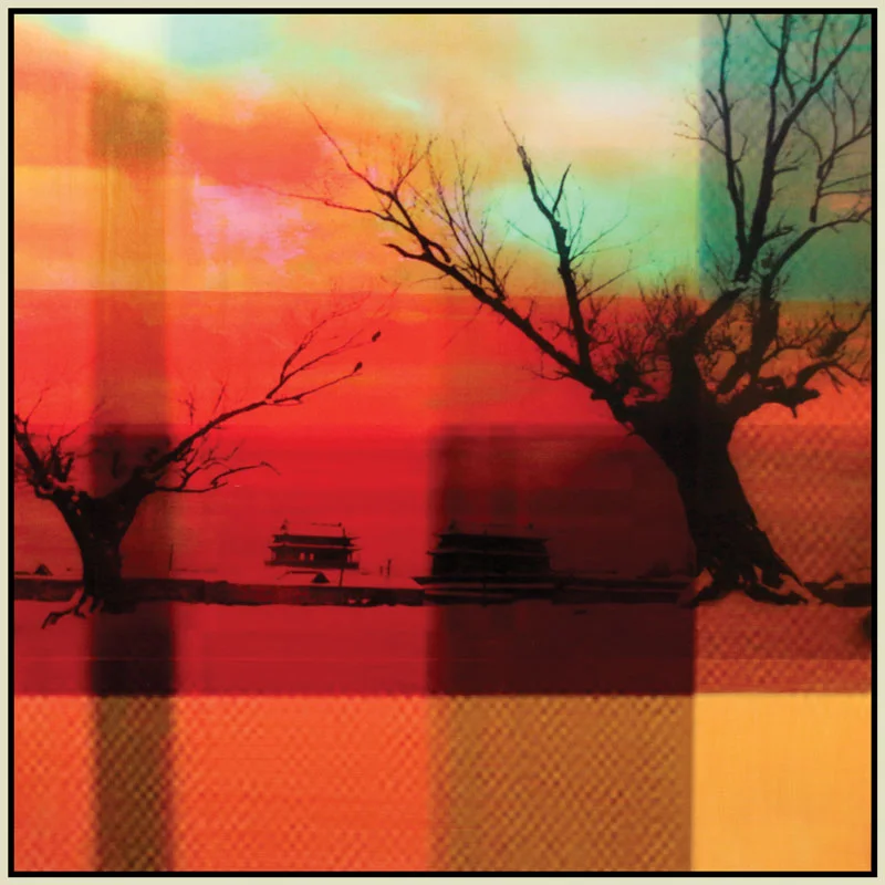 Interjections---Plaid-Sky-with-Trees.jpg