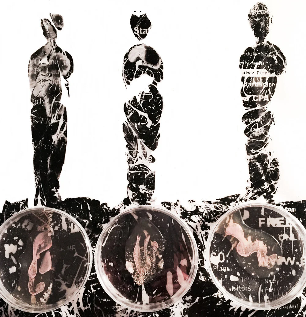 Ccme---Emerge-(Detail)_web.jpg