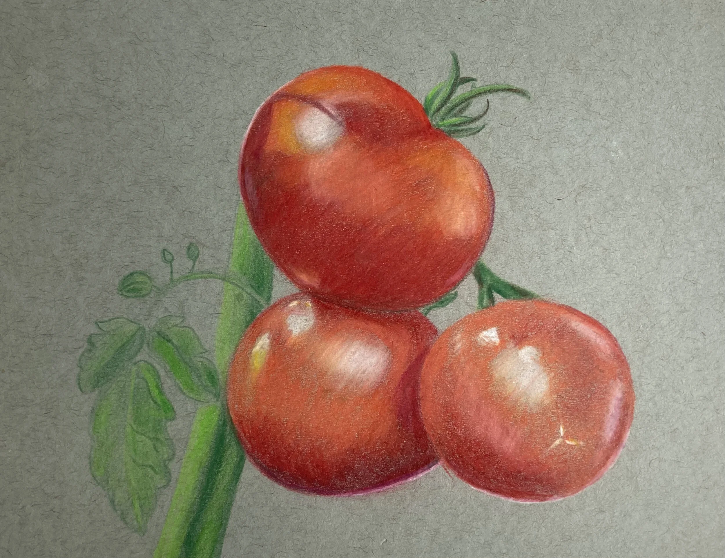 Why I Stopped Being Vegetarian