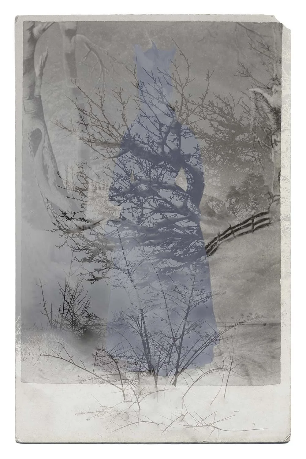04_Winter_Forest_8.5.jpg