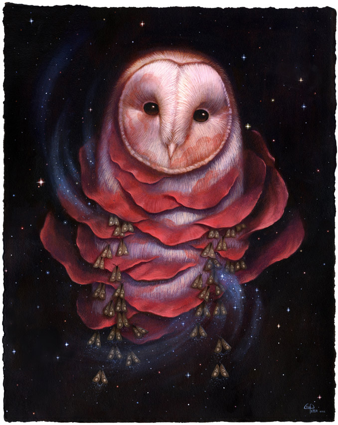 Nocturnal Enlightenment